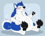  2017 4_fingers 4_toes anthro barefoot belly big_belly biped black_claws black_nose black_pawpads blue_eyes blue_fur blue_hair blue_tail blush canine cheek_tuft chest_tuft claws countershade_tail digital_media_(artwork) dog front_view full-length_portrait fur hair hand_on_stomach husky jhusky male mammal multicolored_fur multicolored_tail navel nude obese overweight pawpads paws portrait shadow shikakaka simple_background sitting snout solo teeth toe_claws toes tuft two_tone_fur two_tone_tail white_belly white_fur white_tail 