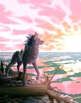  blue_eyes blue_hair canine day detailed_background duo feral fur grey_fur hair mammal outside paws sky standing water wolf wolfirry 