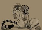  breasts dressing feline female kung_fu_panda mammal master_tigress paws sabrotiger 