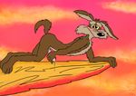  blush canine coyote looney_tunes male mammal masturbation penis solo unknown_artist warner_brothers wile_e._coyote wile_e_coyote 