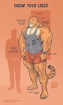  2016 anthro areola big_bulge blue_eyes bulge clothing comparison feline human hybrid hyper hyper_muscles larger_male liger lion mainlion male mammal markings muscular muscular_male nipples pecs shirt shorts simple_background size_difference smaller_male tank_top thick_thighs tiger vein watch 