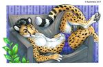  2017 4_toes 5_fingers anthro barefoot black_hair black_spots brown_eyes cheetah clothed clothing detailed_background digitigrade feline fur hair kashmere lying male mammal pawpads slit smile solo spots spotted_fur toes topless 