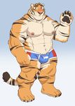  adios barazoku clothing feline male mammal muscular solo tiger underwear 