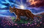  2017 amazing_background brown_fur cat detailed_background feline feral flashw flower fur grass green_eyes looking_at_viewer mammal paws plant sky smile solo standing striped_fur stripes sun whiskers 