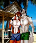  2017 5_fingers abs anthro beach black_fur black_nose blurred_background brown_hair bulge canine cinta clothing day duo eyeliner fox fur gloves_(marking) green_eyes grey_fur hair hand_behind_back looking_at_viewer makeup male mammal markings multicolored_fur muscular nails palm_trees red_fur rox_(cinta) sand seaside smile standing swimsuit teeth white_fur wolf 