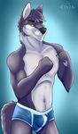  2017 anthro black_nose blue_background bulge canine cinta clenched_fists clothing fur green_eyes grey_fur grey_hair hair looking_at_viewer male mammal multicolored_fur simple_background smile solo standing teeth tight_underwear underwear white_fur wolf 