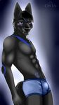  5_fingers abs absurd_res anthro black_fur black_hair black_nose blue_fur bulge canine cinta clothing eyebrows fur grey_fur hair hi_res leaning leaning_back looking_at_viewer male mammal markings muscular presenting purple_eyes smile solo tight_underwear underwear wolf 