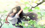  arms_up black_hair black_legwear breasts cleavage green_eyes highres kikivi large_breasts long_hair looking_at_viewer looking_up original pantyhose school_uniform serafuku solo tree_branch wind 