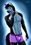  2017 5_fingers anthro black_fur black_hair black_nose blue_eyes blue_fur bulge canine cinta clothing eyebrows fur hair looking_at_viewer male mammal markings multicolored_fur muscular smile solo standing tight_underwear underwear wolf 