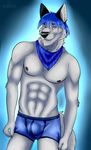  2017 abs anthro artic_wolf bandanna black_nose blue_hair bulge canine cinta clothing eyebrows fur glowing grey_fur hair holding_object holding_underwear looking_at_viewer male mammal muscular sharp_teeth simple_background smile solo teeth tight_underwear underwear wolf 