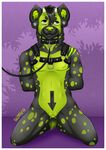  2017 anthro bdsm bound clitpen collar cuntboy cuntboy/male digital_media_(artwork) harness horn hyena intersex intersex/male invalid_color invalid_tag kneeling leash looking_at_viewer male mammal nipples nude piercing simple_background solo thebadnewsbear 