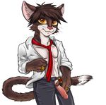  anthro cat clothed clothing erection feline hotfudgehusky invalid_tag jamie_sharp jewelry mammal necktie partially_clothed penis red_tie smile tuxedo_cat yellow_eyes 