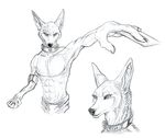  2017 abs amon anthro black_nose canine clothed clothing collar ear_piercing fur jackal male mammal metal_collar muscular piercing sellon solo topless 