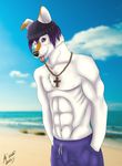  2016 abs anthro beach beanie black_nose blurred_background canine cinta clothing cloud dog flopped_ear hair hands_in_pockets hat jewelry looking_at_viewer male mammal muscular necklace one_eye_closed purple_eyes purple_hair seaside sky solo standing swimsuit tan_skin tongue tongue_out water white_skin wink 