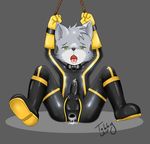  animal_genitalia bdsm bondage boots bound clothing footwear gloves rubber rubber_suit sheath tobby tobby_wolf(cubrubber) 