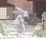  bath erection hot_spring lagomorph male male/male mammal momorawrr onsen rabbit rat rodent splinter teenage_mutant_ninja_turtles usagi_yojimbo water 