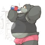  anthro black_nose bottle drinking fur grey_fur obese overweight simple_background solo wantaro water white_background 