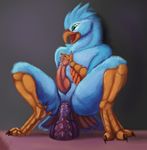  2017 anal anal_masturbation anal_penetration animal_genitalia animal_penis anthro avian bad_dragon beak big_penis bird blue_feathers butt claws crackers_(bad_dragon) digital_media_(artwork) dildo erection feathers girly green_eyes hi_res knot male masturbation nude open_mouth orange_feathers penetration penis phinja precum saliva sex_toy simple_background smile solo tongue tongue_out 