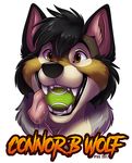  2017 ball black_fur black_hair black_lips brown_fur canine connor_b_wolf cute digital_media_(artwork) drooling fangs floppy_ears front_view fur grey_fur hair happy headshot_portrait ifus lips looking_at_viewer male mammal mouth_hold multicolored_fur name_badge orange_eyes pink_tongue portrait saliva short_hair signature simple_background smile snout solo teeth tennis_ball tongue tongue_out white_background white_fur wolf 