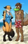  2017 anthro beach blue_eyes breasts brown_fur brown_hair canine clothing crossgender detailed_background digitigrade evals female fox frisbee full_body fur gloves_(marking) grey_eyes hair heresy_(artist) hi_res keidran male mammal markings mike_(twokinds) multicolored_fur orange_fur orange_hair outside ponytail sea seaside socks_(marking) swimsuit tailwag two_tone_fur twokinds water white_fur wolf 