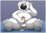  anthro anus balls brian_griffin canine dog family_guy humanoid_penis male mammal masturbation penile_masturbation penis shadowninja976 solo 