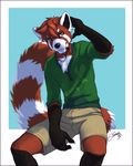  2017 anthro big_tail black_fur black_nose blue_background border brown_eyes chest_tuft clothed clothing depth_of_field digital_media_(artwork) feralise fluffy fluffy_tail front_view fully_clothed fur green_clothing green_shirt green_topwear hair long_tail male mammal multicolored_fur multicolored_tail outside_border pendant portrait red_fur red_hair red_panda red_tail ringed_tail shirt short_hair shorts signature simple_background sitting smile solo sy_freedom tan_bottomwear tan_clothing tan_shorts three-quarter_portrait tuft two_tone_tail white_border white_fur white_tail 