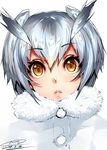  :&lt; blush dated eyebrows_visible_through_hair fur_collar happa_(cloverppd) kemono_friends lips looking_at_viewer northern_white-faced_owl_(kemono_friends) portrait short_hair signature silver_hair simple_background solo white_background yellow_eyes 