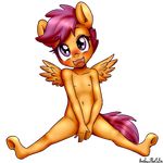  2017 alpha_channel anibaruthecat anthro anthrofied blush covering cub equine feathered_wings feathers female friendship_is_magic hair looking_at_viewer mammal my_little_pony navel nipples nude pegasus purple_eyes purple_hair scootaloo_(mlp) simple_background solo spread_legs spreading transparent_background wings young 