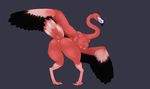  2017 anthro anus areola avian beak big_breasts big_butt bird breasts butt feathered_wings feathers female flamingo huge_butt long_neck looking_back non-mammal_breasts nude pussy sanfingulipunrapin solo thick_thighs voluptuous wings 