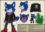  bandanna canid canine canis clothing fan_character flatcolor footwear gloves jacket kagen_the_wolf male mammal model_sheet pants safety_goggles shoes sonic_(series) text wildwolfproduction wolf 