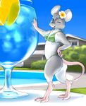  2017 anthro beverage bikini blue_eyes clothing digitigrade female flower flower_in_hair fur grey_fur kikurage looking_at_viewer mammal mouse one_eye_closed open_mouth outside plant rodent side_view solo standing swimming_pool swimsuit teeth whiskers wink 