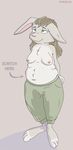  2006 anthro barefoot blue_eyes breasts brown_hair clothed clothing dinrael female hair lagomorph mammal mature_female nipples pants rabbit slightly_chubby solo topless 