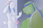  anthro bakameganekko balls duo erection humanoid_penis lagomorph leonardo_(tmnt) male male/male mammal miyamoto_usagi penis rabbit reptile scalie teenage_mutant_ninja_turtles turtle 