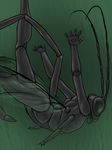  2016 3_fingers 4_arms 5_fingers abc_insects abdomen ambiguous_gender anatomically_correct antennae anthro arms_above_head arthropod athletic black_eyes black_skin compound_eyes digital_media_(artwork) digital_painting_(artwork) exoskeleton falling flat_chested gradient_background green_background hands_behind_back insect insect_wings looking_down mandibles multi_arm multi_limb nude pelecinid_wasp portrait raised_leg shiny side_view simple_background skelebee solo three-quarter_portrait wasp wings 
