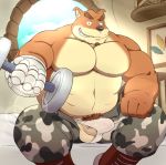  abs anthro bandicoot barazoku barbell barely_visible_genitalia barely_visible_penis beartouma_0517 bed big_muscles clothed clothing crash_bandicoot_(series) crunch_bandicoot inside male mammal marsupial musclegut muscular muscular_male pants_down partially_clothed penis thick_penis video_games 