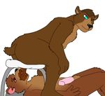  anthro balls bear black_nose blue_eyes brown_fur brown_hair butt crouching duo eating_shit fangs feces fur hair humanoid_penis living_toilet male male/male mammal nude open_mouth penis pink_penis red_eyes scat simple_background teeth unknown_artist white_background 