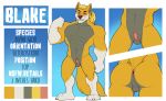  absurd_res anthro balls blake canid canine canis erection fcsimba hi_res male mammal model_sheet muscular penis small_balls small_penis wolf 