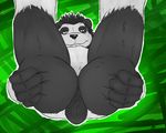  anthro anus balls bear grandall_(artist) lying male mammal muscular nude on_back panda solo thick_thighs 
