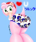  &lt;3 amy_rose big_butt bra butt clothing green_eyes looking_at_viewer miles_prower panties sonic_(series) sonic_the_hedgehog thedjtc thick_thighs underwear video_games wide_hips 