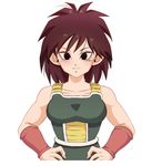  1girl animated animated_gif armor blush breast_bounce breasts dragon_ball dragonball_z embarrassed female gine smile 