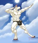  2017 abs animal_genitalia anthro bulge canine clothing cloud doberman dog flaccid hairless hungothenomster male mammal manly muscular nipples penis penis_outline pose short_tail sky solo standing sun tight_underwear underwear white_skin 