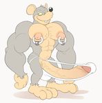  anthro anti_dev big_nipples clothing erection hyper hyper_penis jim_rat jockstrap male mammal muscular nipple_piercing nipples penis piercing rat rodent solo underwear 