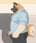  2016 adios akita anthro bathroom belt black_bottomwear black_clothing black_nose black_pawpads blue_topwear brown_eyes brown_skin canine claws dog erection eyebrows fluffy fluffy_tail hand_on_penis humanoid_penis invalid_tag looking_down male mammal multicolored_skin multicolored_tail open_pants partially_retracted_foreskin pawpads penis pose side_view simple_background slightly_chubby solo standing tan_tail two_tone_skin uncut white_skin white_tail 