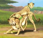  brown_eyes cheetah collar day detailed_background feline female feral grass green_eyes male mammal outside pawpads paws pink_nose pussy sibling sky smile standing tongue z-lion 