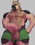  2017 animal_genitalia animal_penis anthro balls biceps big_balls big_penis brown_eyes brown_hair brown_skin clothed clothing equine equine_penis erection front_view green_bottomwear grey_background hair hand_on_hip hi_res horse huge_balls huge_penis knuxlight long_hair long_penis looking_at_viewer male mammal manly medial_ring multicolored_skin muscular muscular_male partially_clothed pecs penis pink_penis pose saggy_balls simple_background snout solo standing sweat teeth thick_penis thick_thighs topless two_tone_skin uperior 