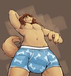  5_fingers anthro balls brown_fur brown_hair bulge canine clothed clothing dog erection eyewear fur glasses hair looking_at_viewer male mammal muscular penis perspective puppysky simple_background smile solo standing sweater uncut underwear yellow_fur zangusuu 