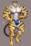  2017 abs anthro biceps black_fur brown_eyes bulge clothing feline fist fur grey_background huge_muscles kuroma looking_down male mammal muscular muscular_male navel nipples pecs simple_background smile solo speedo standing stripes swimsuit tiger toes whiskers white_fur yellow_fur 