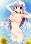  absurdres arm_behind_head arm_up armpits bangs bare_arms bare_shoulders bikini blue_sky breasts cleavage closed_mouth collarbone covered_nipples day eyebrows_visible_through_hair flower groin hair_between_eyes hair_intakes hand_up highres iris_freyja juuoumujin_no_fafnir korie_riko large_breasts legs_together long_hair looking_at_viewer midriff navel nipples outdoors red_eyes scan see-through silver_hair sky smile solo standing stomach sunflower sunlight swimsuit very_long_hair wading water wet wet_clothes white_background white_bikini yellow_flower 