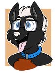  anthro canine collar eyewear fur glasses hair komponi male mammal simple_background smile solo tongue tongue_out 