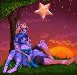  anthro barefoot blue_hair blue_nose canine clothed clothing dog duo female hair heterochromia male mammal outside robyn_paperdoll sitting sky smile star starry_sky sun tree 
